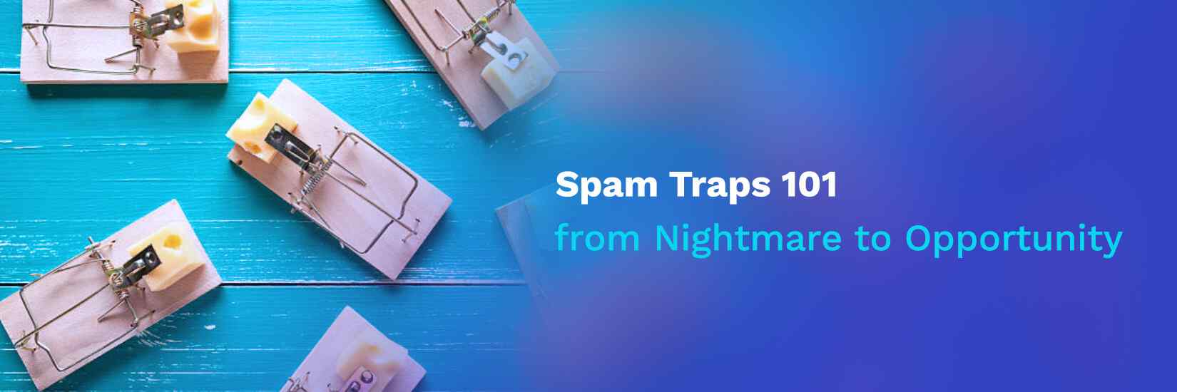 Spam Traps 101: from Nightmare to Opportunity